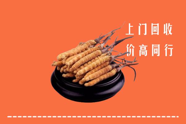 高价求购：呼兰区回收散虫草