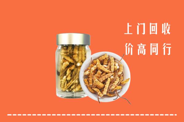 呼兰区回收冬虫夏草