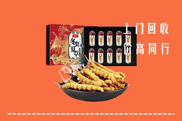 呼兰区回收虫草